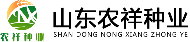 山東潤磊包裝科技有限責任公司